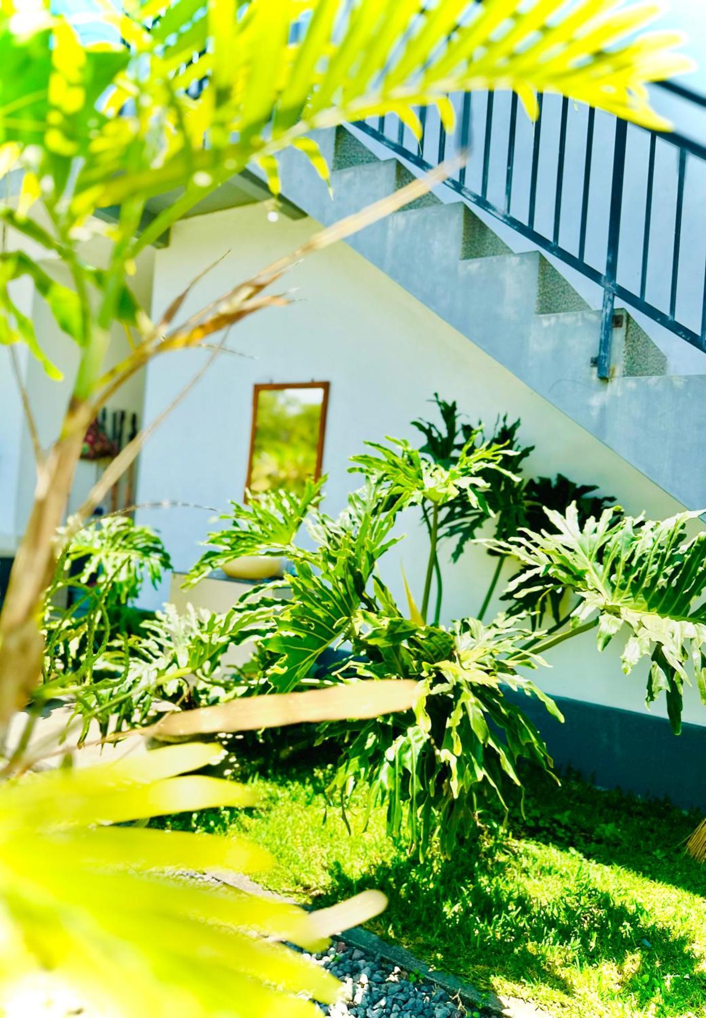 Batur Volcano Guesthouse Kintamani エクステリア 写真